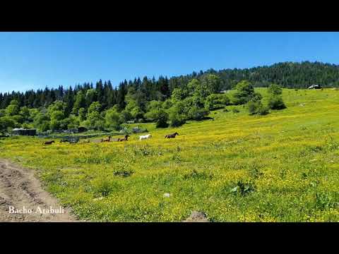 ბორჯომი, დაბაძველი/Borjomi, Dabadzveli