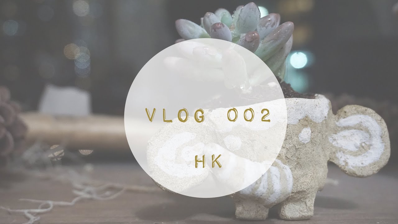 香港 日常vlog 旺角花墟 雀仔街 多肉植物 陶土 自製盆器diy Youtube