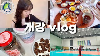 드디어 과가 결정된 💚성균관대 이과생💚의 개강 vlog✨ㅣ그릭요거트 존맛 조합ㅣ대학 일상ㅣ