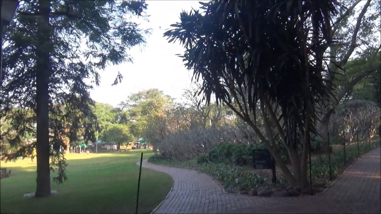 Durban Botanical Gardens, South Africa YouTube