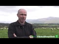 Sheep Breeding Policy with Tomas O'Leary