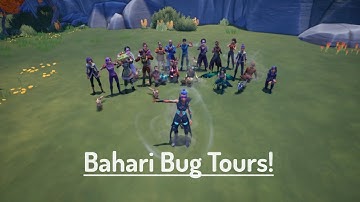 Bahari Bug Tours