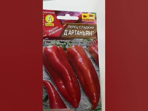 Эти перцы завалят вкусным и крупным урожаем! Лучшие сорта перцев # ...