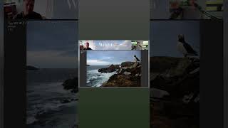 Puffins, Terns, and Low-key - Wildlife Photo Chat Video Teaser  #birds #wildlifephotography