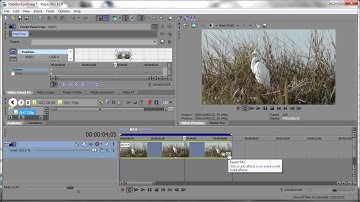 Stabilizing in Sony Vegas with the Mercalli V2 Plugin