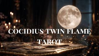 Cocidius & the Black Sun ✦ Shadow Integration & Divine Masculine Healing