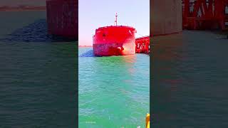 IMO: 9468401Name: SUN ORCHID Vessel Type - Generic: CargoVessel Type - Detailed: Bulk Carrier