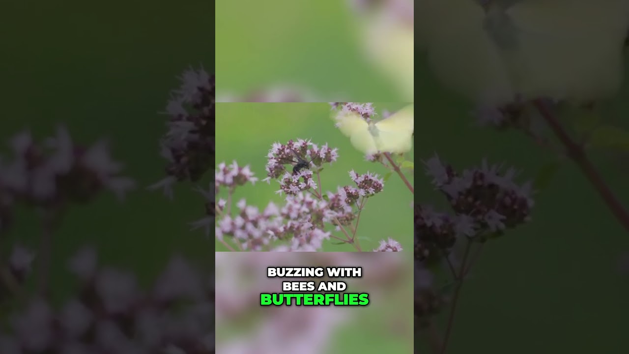 Urban Biodiversity: Nature's Resilience in Our Cities