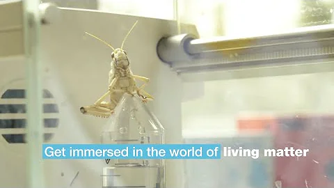 Faculty of Bioscience Engineering - Get immersed in the world of living matter