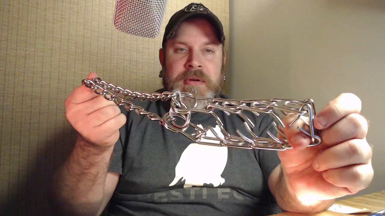 Prong Collars and what I think YouTube