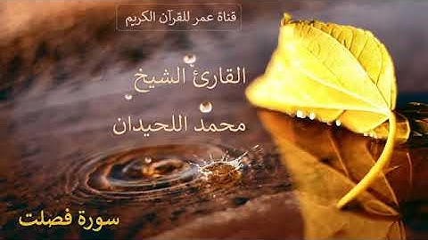 041   سورة فصلت   القارئ الشيخ محمد اللحيدان