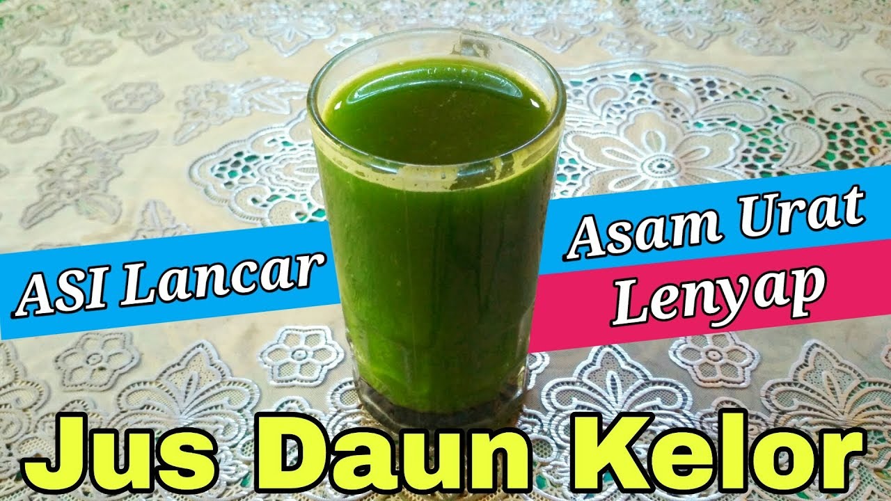 JUS DAUN KELOR UNTUK ASAM URAT DAN IBU MENYUSUI 
