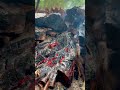 (10) 森で最悪なエリアを、最高の場所に開拓！　(山小屋の骨組みが終わり、側面の組み立て！)