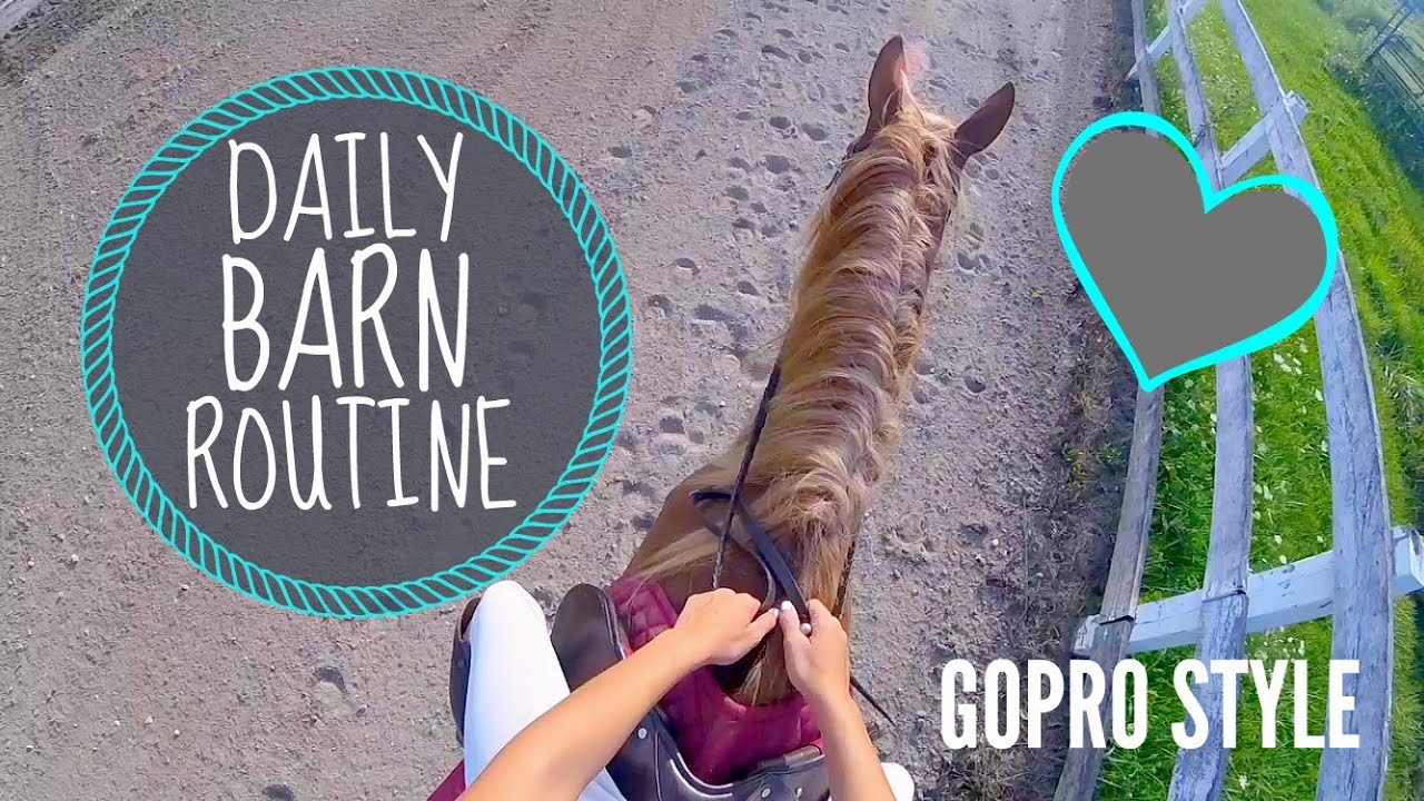 DAILY BARN ROUTINE |GOPRO STYLE - YouTube