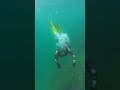 SMACO S700 2liter Scuba Tank #smaco #travel #ocean #scubadiving #snorkeling #diving #vacation #fyp