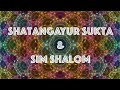 Shatangayur sukta  sim shalom  feat madhu anziani  live from indian canyon