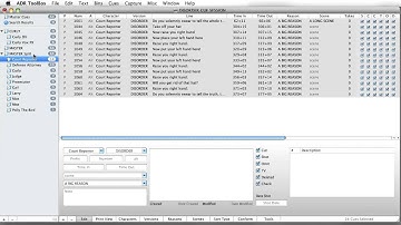 3 ADR ToolBox Understanding Bins