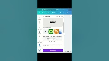 Canva Tutorial Day 2 | Create Eye-Catching Designs Like a Pro