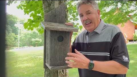 Gadget cache build by  WVTim