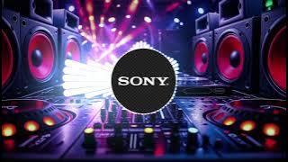 SONY Bass Test Sound 2025 | DJ Boosted Bass Edition