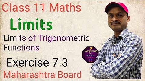 Class 11 Maths/ Limits / Exercise 7.3 /Maharashtra Board