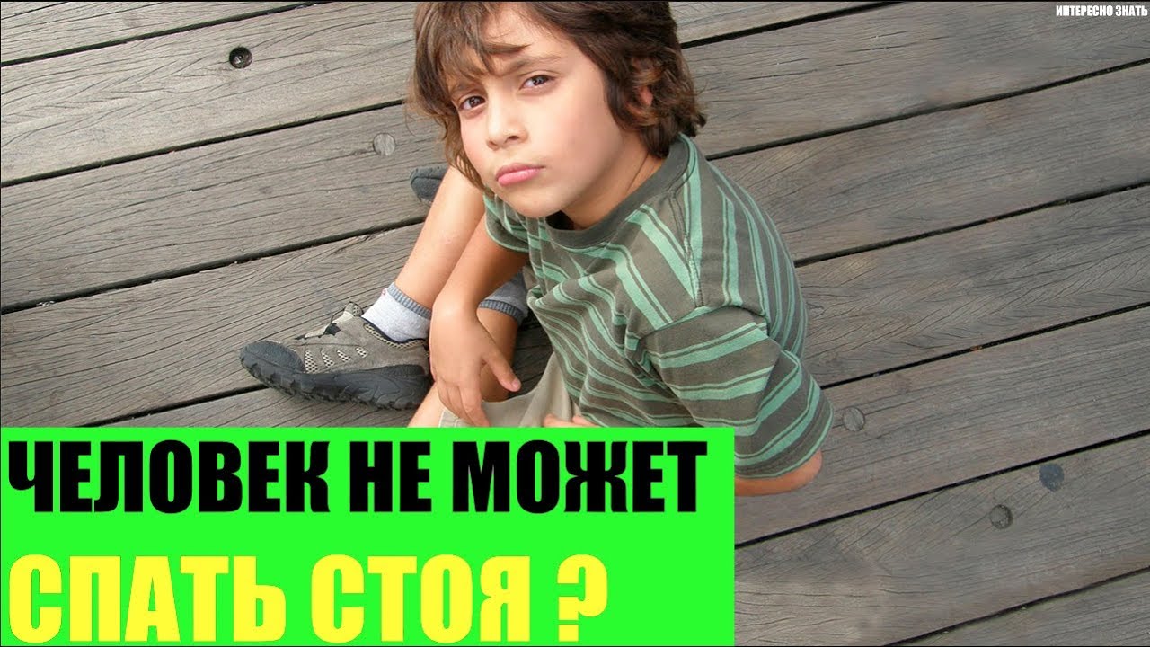Почему человек не может спать стоя? - YouTube