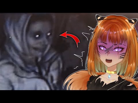 THESE VIDEOS WILL MAKE U SH**T YOUR PANTS