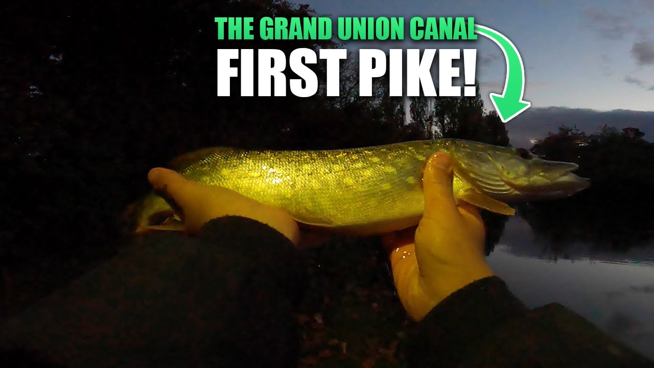 Lure Fishing For PIKE The Grand Union Canal YouTube