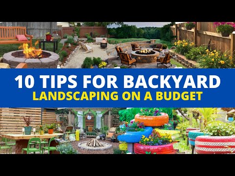 10 Tips for Backyard Landscaping on a Budget 💸