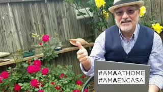 Director del AMA presenta #AMAENCASA
Durante la pandemia, el Museo de Arte de las Américas AMA se reorienta hacia un públic en casa. Director del AMA presenta #AMAENCASA