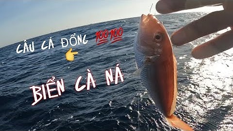 12 Giờ Câu Cá Giải Trí  Trên Biển Cà Ná Ninh Thuận Câu Cá Đủ Loại