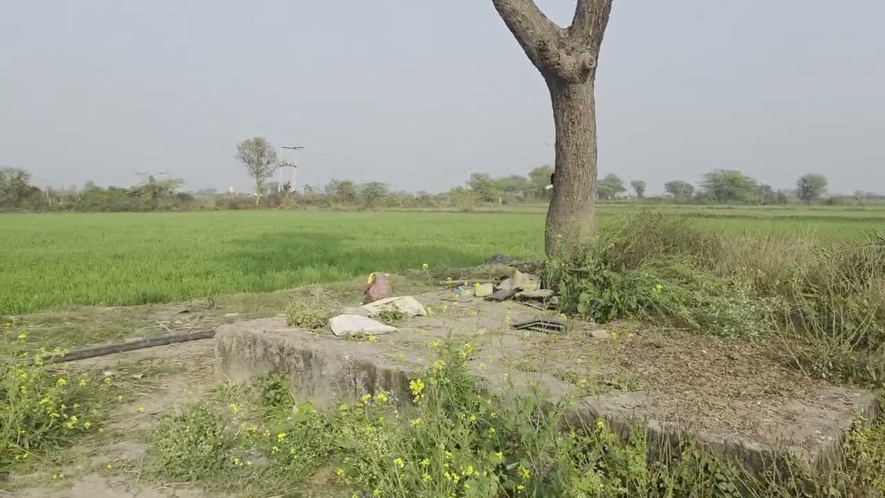 Project No. (196) 45 bigha agricultural land available for sale Bundi district Rajasthan 