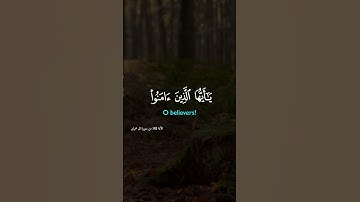 ياأيها الذين آمنوا #ايات_من_القران_الكريم #صلاح بو خاطر #تلاوة_خاشعة #قرآن #quran #القرآن_الكريم