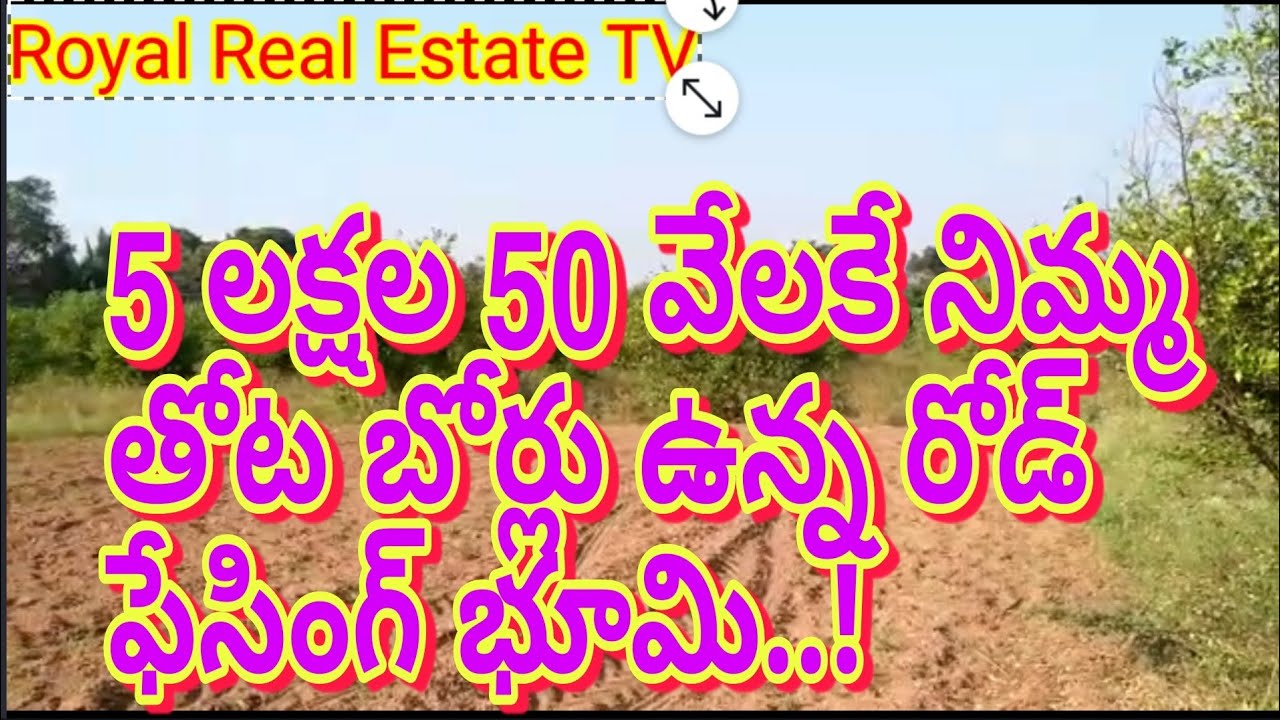 land for sale ||lemon garden for sale ||Nellore district land||realestate||Royal Realealestate TV||