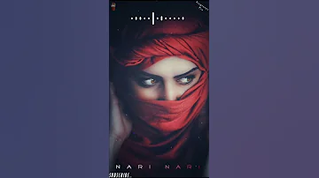 NARI NARI 