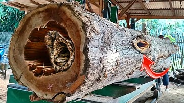 The unexpected discovery of a giant teak log that shocked residents while being sawed at a sawmill 