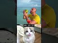 Simple Question, Sneaky Trap #cat #funny #cute #respect #animals #duet #kitten #memes #cutecat