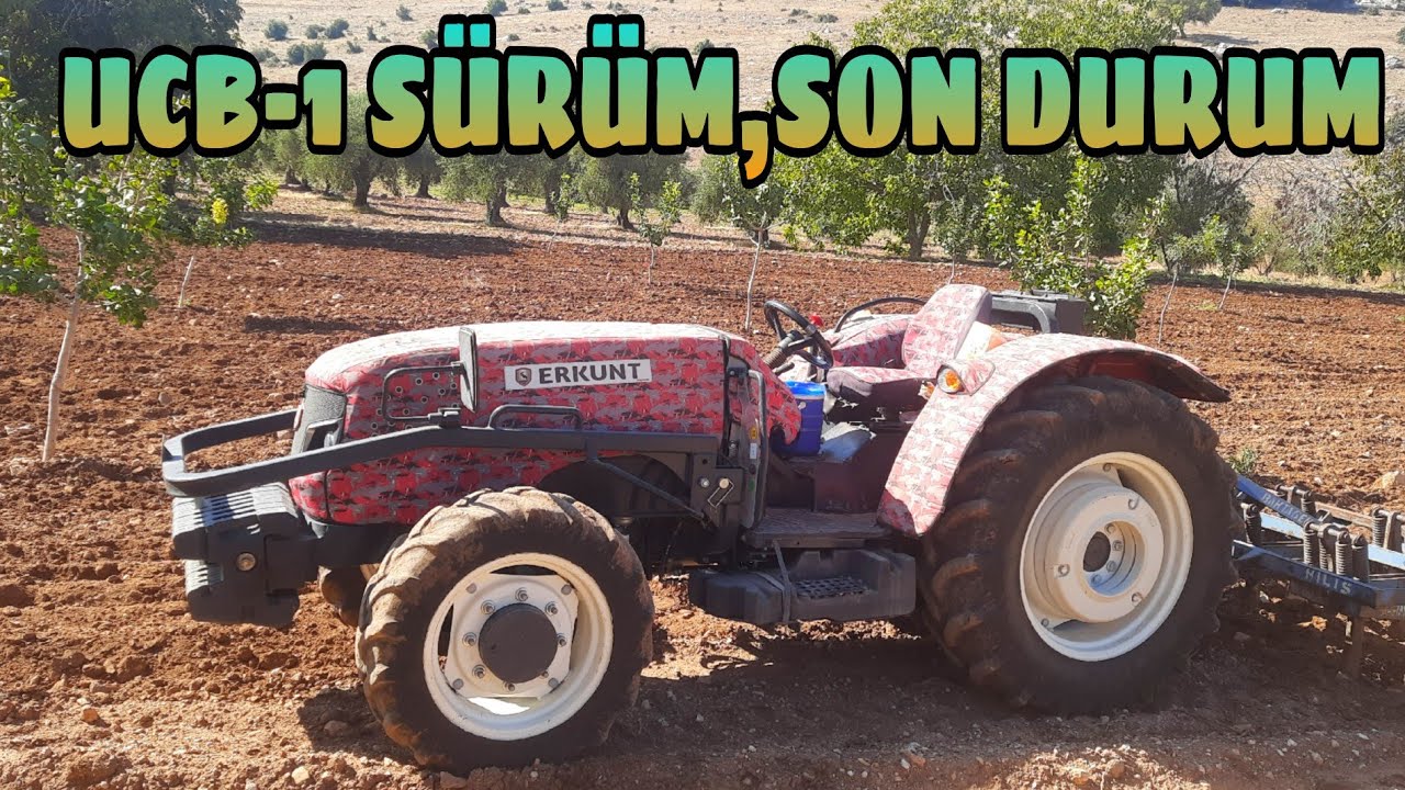 YAĞMUR SONRASI UCB-1 SÜRÜM,AŞİ KONTROLÜ ve SON DURUM..