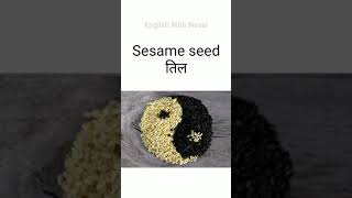 बीज Seed #seeds #shorts |English With Naval|