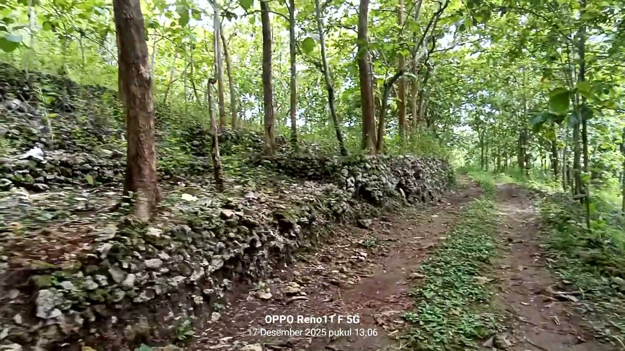 Jual tanah Murah SHM luas:4300m² harga:120 juta.