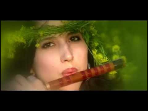 Бону кору. Бону кору. Bonu. Bonu. Бону кору.