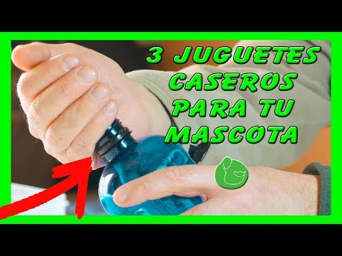 Video: Ideas para juguetes de obstáculos para perros en el patio trasero