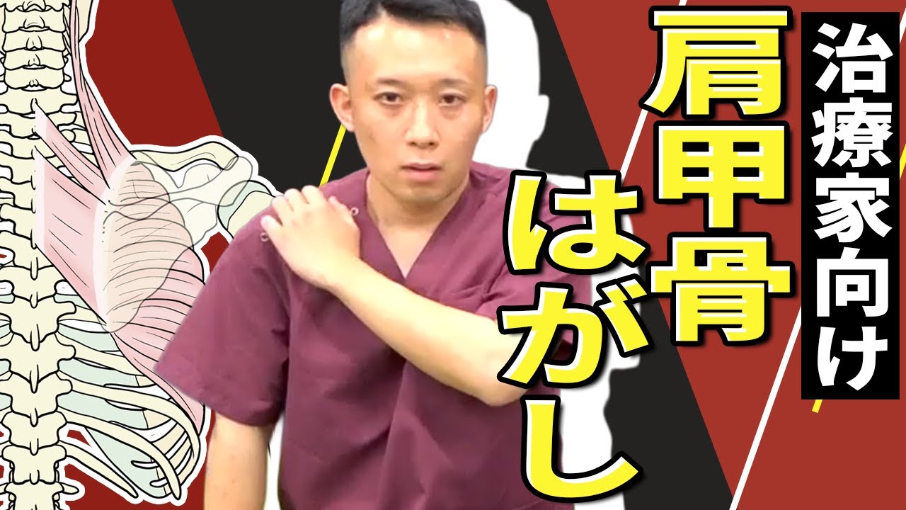 【首こり・肩こり】は肩甲骨を剥がさない 動きだけ整えて軽くなる!