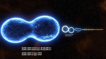 Contact Binary Stars Size Comparison