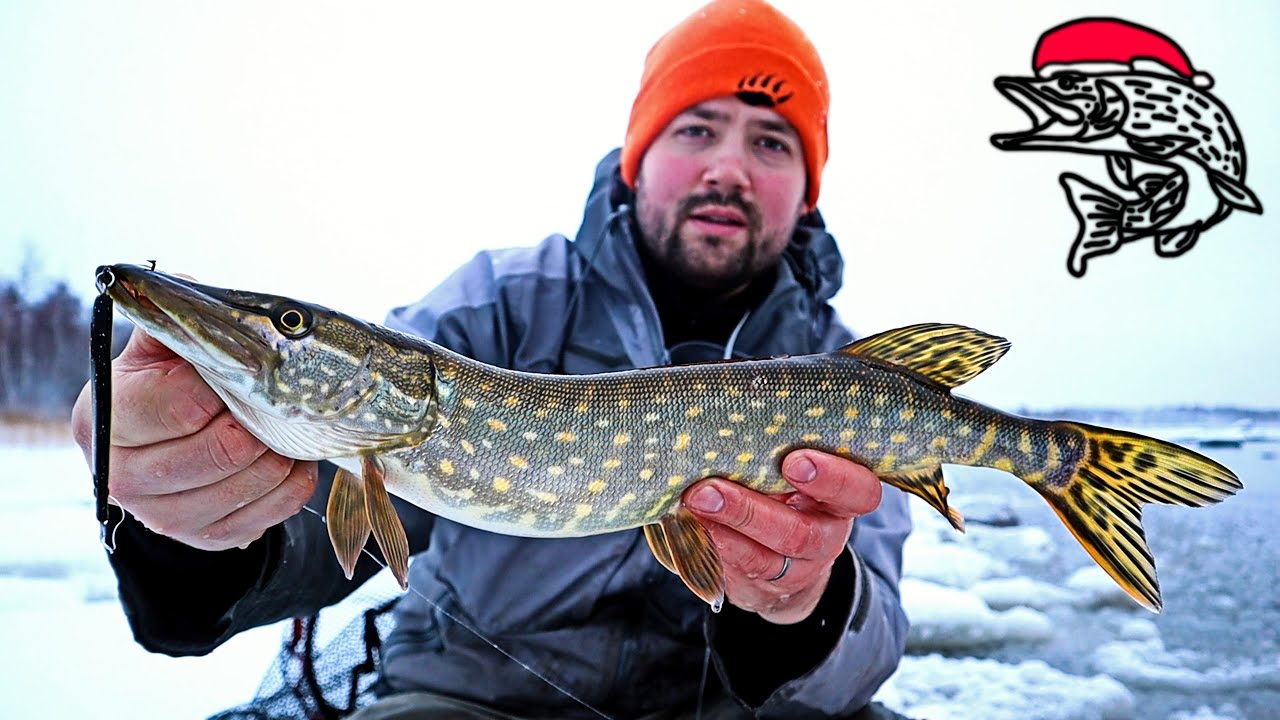 HURJASTI HAUKEA MATALASTA - EPÄONNISTUNUT MERITAIMEN KALASTUS PÄIVÄ