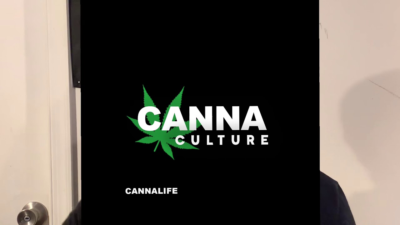 Granddaddy Purp strain review!