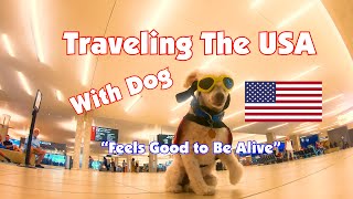 Feels Good to Be Alive - Traveling With Dog by TampaAerialMedia 3,393 views 6 months ago 7 minutes, 33 seconds