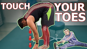 How To Touch Your Toes In 4 MINUTES! | Physical Therapist