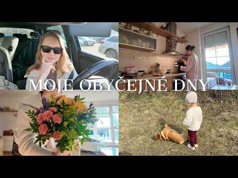 Moje obyčejné dny☀️