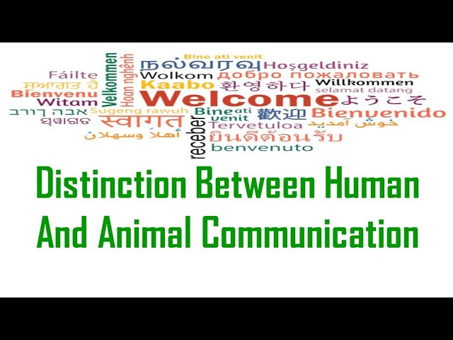Distinction between Human and Animal Communication #communication #animal #human